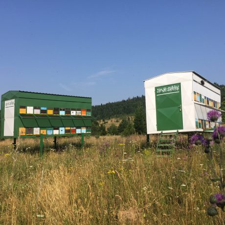 Pčele-na-Plitvicama